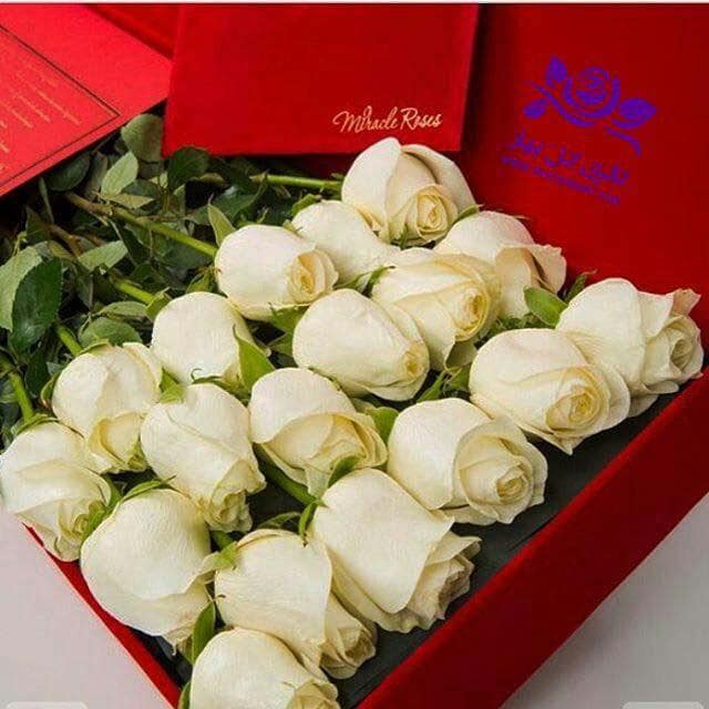 بهارفلاور-باکس گل رز -گل رز زرد ،هلندی، ایرانی