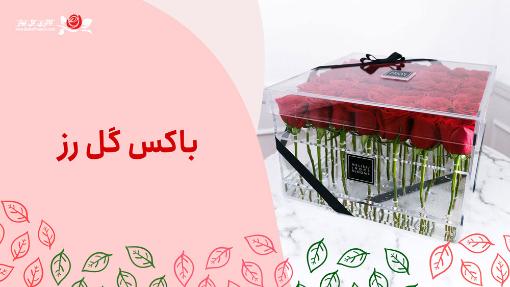 باکس-گل-رز