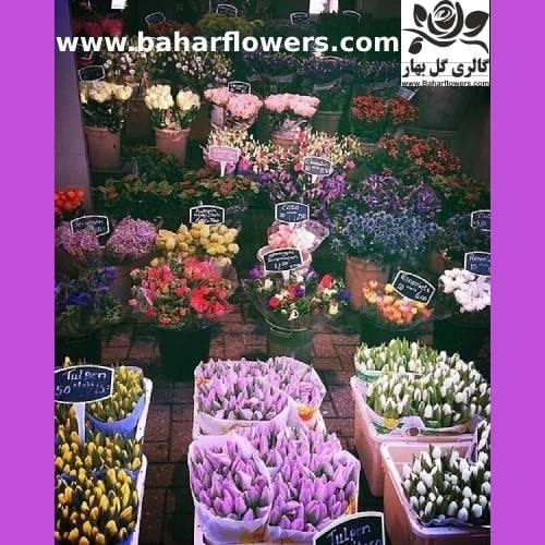 نحوه ارسال گل به ایران