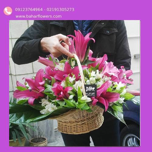 سبد گل بله برون شیک