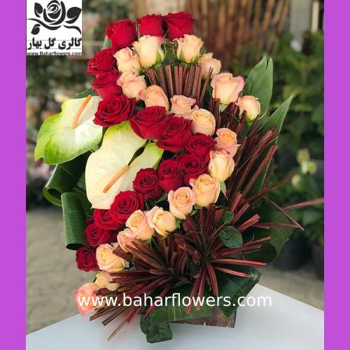 گل خواستگاری