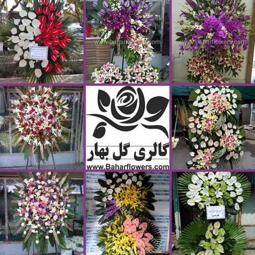 گالری گل بهار - عکس تاج گل
