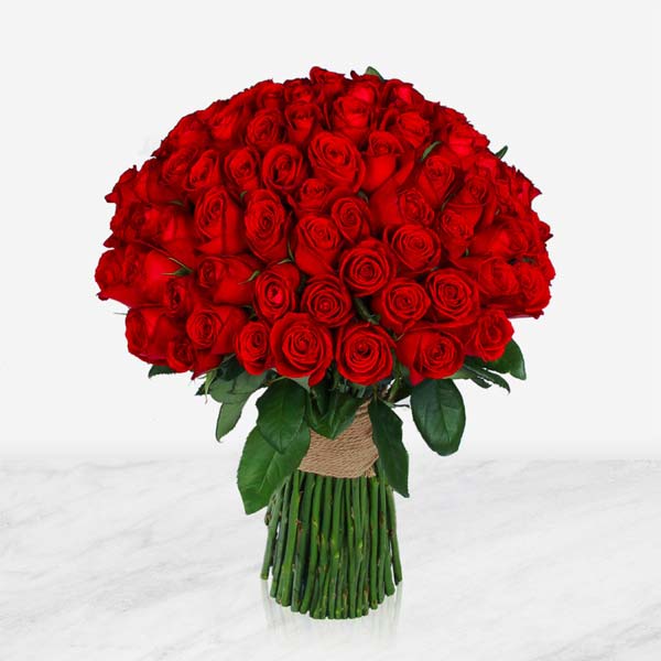 انواع گل رز