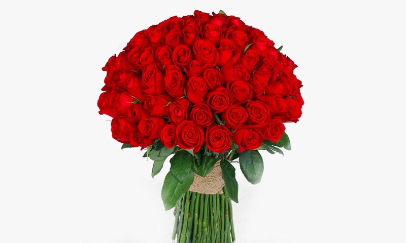 رز ساقه بلند