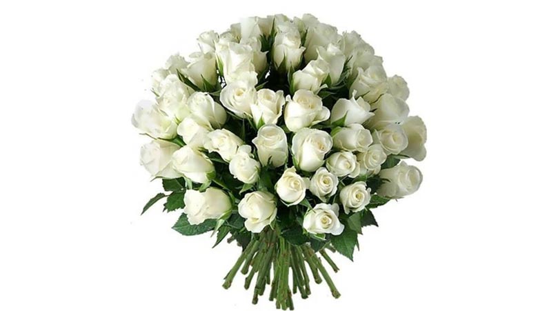 معنی رز سفید