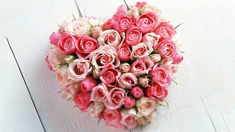 معنی رز صورتی