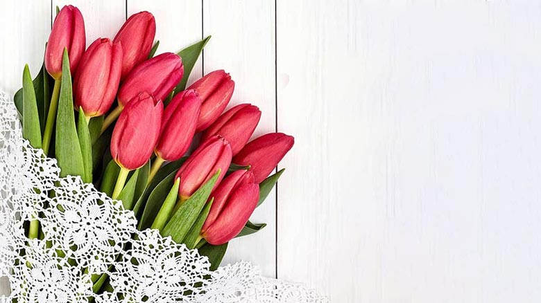 گل لاله مناسب تولد