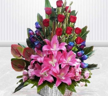 گل مناسب برای عیادت بیمار