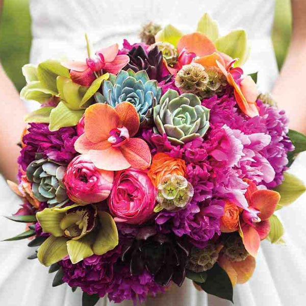 گل های تابستانی